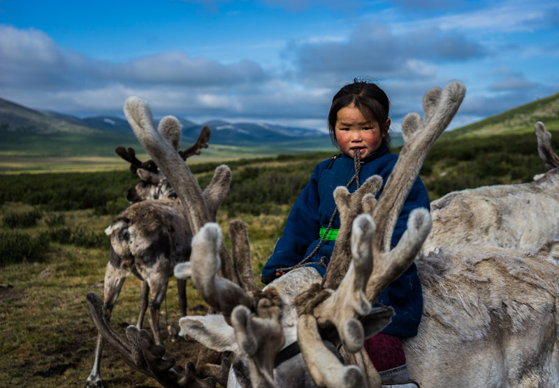 Asian Date Blog | Amazing Mongolian Tribe That Rides Reindeer